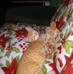 Profile Picture of Pamela Weidman (@pamela.weidman.75) on Facebook