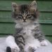 Profile Picture of Gerych  Gerych (@gerych.gerych) on Facebook
