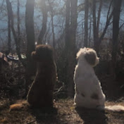 Profile Picture of Michael Osborne (@michaelosborne9820) on Youtube