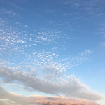 Profile Picture of Adam Eve (@couplewefree1@yahoo.co.uk) on Flickr
