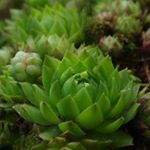 Profile Picture of april tanner (@tanner7220lw) on Instagram