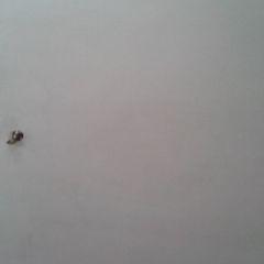 Violet Nelson - Twitter Profile Picture of Violet Nelson (@benedictonesmo) on Twitter