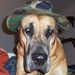 Profile Picture of Matt McLeod (@mmcleod639) on Pinterest
