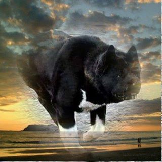 Download Inagami Facebook Twitter Myspace On Peekyou Desktop Wallpaper Free Wallpaper Inagami Facebook Twitter Myspace On Peekyou For iPhone Free