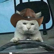 Profile Picture of Giuseppe Ripa (@giusepperipa2743) on Youtube