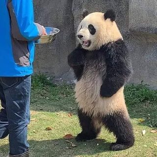 Profile Picture of Ivan Fung (@ivan.fung.256) on Facebook