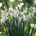 Profile Picture of earnest (@levinar268helen) on Instagram