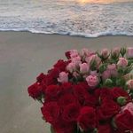 Profile Picture of Chaima Harbili (@harchaima) on Instagram