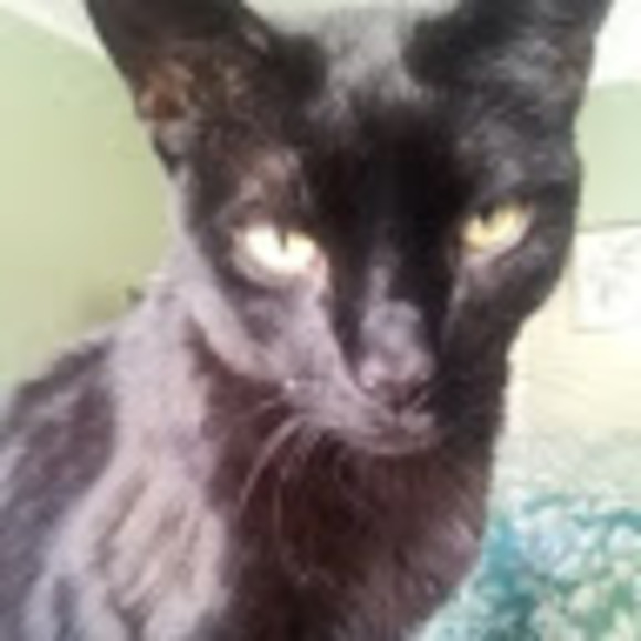 Profile Picture of Ann Stevenson (@aes90030) on Poshmark