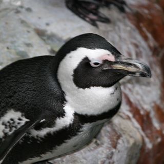 Luke Fancher - Facebook Profile Picture of Luke Fancher (@luke.fancher.9) on Facebook