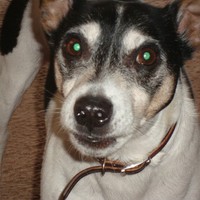 Profile Picture of Mitchell Kearney (@mitchell-kearney-8) on Quora