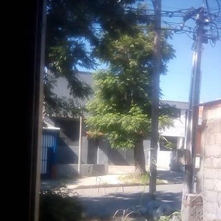 Profile Picture of Cesar Pargas (@cesar.pargas.35) on Facebook