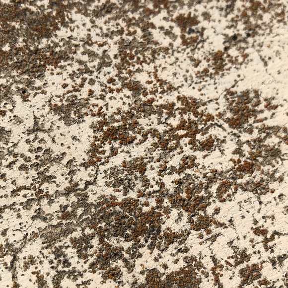 Profile Picture of Adam Jamal (@thadamster) on Poshmark