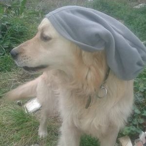 Profile Picture of Murat Tansever (@MuratTansever) on Twitter