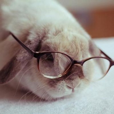 Profile Picture of Michelle Bennett (@Michelle_Breton) on Twitter