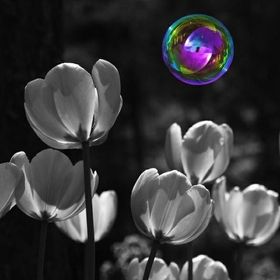 Profile Picture of Rosy Benack (@rosybenack) on Pinterest