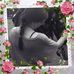 Profile Picture of Tabitha Reilly (@tabitha.reilly2) on Facebook