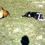 Profile Picture of jimmy crittenden (@jimmy.crittenden) on Instagram