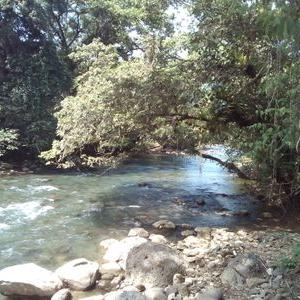 Profile Picture of Rene Navas (@4d35061db7e341b) on Twitter