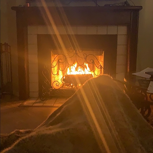 Profile Picture of Philip Cappitelli (@pcappitelli) on Poshmark