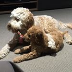 Profile Picture of Alex Apostolopoulos (@8alex_aposto24) on Instagram