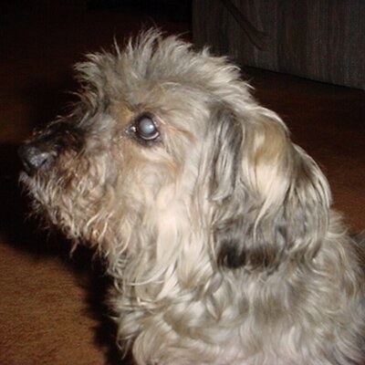 Profile Picture of JOYCE HORTON (@joycekhorton) on Twitter