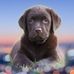Profile Picture of Vivien Laichinger (@vivien.laichinger.9) on Facebook