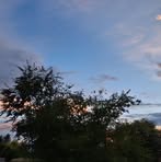 Profile Picture of Joey Dowdy (@joey.dowdy.12) on Facebook