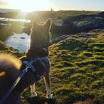 Profile Picture of Richard McKinstray (@richardmckinstray) on Instagram