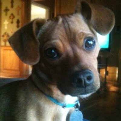 Profile Picture of James Gauntt (@GaunttJ) on Twitter