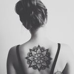 Profile Picture of Crystal Chapman (@chapman_crystal) on Instagram