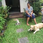 Profile Picture of Tishanthi Perera (@tishanthiperera) on Instagram