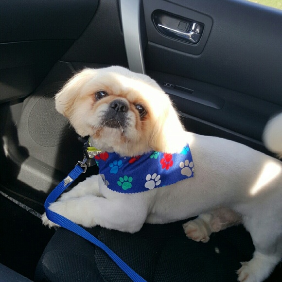 Profile Picture of Bobbie Griffith (@b0bbiegriff) on Poshmark