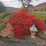 Profile Picture of Danny Häuser (@danny.hauser.31) on Instagram