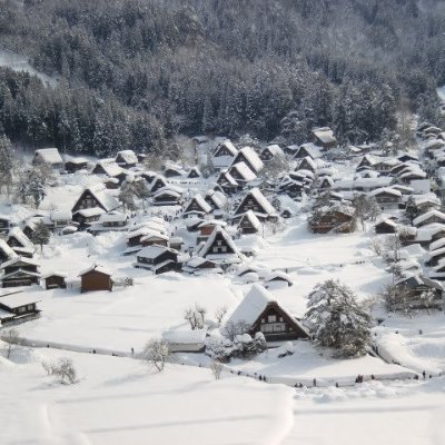 パメラ - Twitter Profile Picture of パメラ (@PamelaTang2) on Twitter