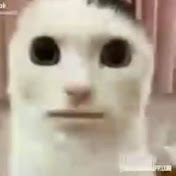 Profile Picture of Alex Fares (@DeezIsSus365) on Youtube