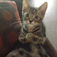 Profile Picture of Brian Stankis (@brian-stankis) on Quora