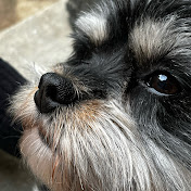 Profile Picture of Jonathan Hester  (@Justhereformemes389) on Youtube