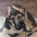 Profile Picture of Jason Fyfe (@jason.fyfe.372) on Facebook