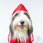 Profile Picture of Erik Räven (@erik.raven) on Instagram