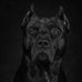 Profile Picture of Kevin Latham (@kevin.latham.9678) on Facebook