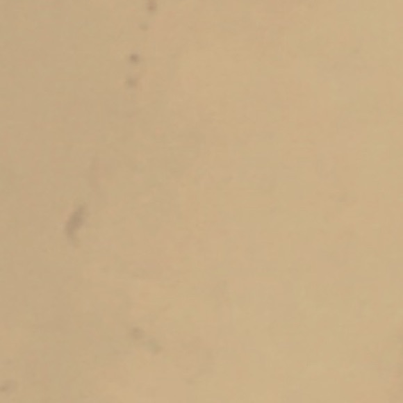 Amber Reilly - Poshmark Profile Picture of Amber Reilly (@amberreilly988) on Poshmark