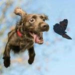 Profile Picture of Пьер (@john1917kennedy) on Instagram