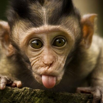 Profile Picture of Jason Chavarria (@JAChav) on Twitter