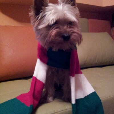 Profile Picture of Robert Różański (@rozanski68) on Twitter