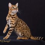 Profile Picture of Kovacs Laura (@lora_kovacs2392) on Instagram