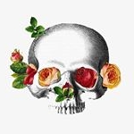 Profile Picture of Clare Jennings (@clare_jennayngs) on Instagram