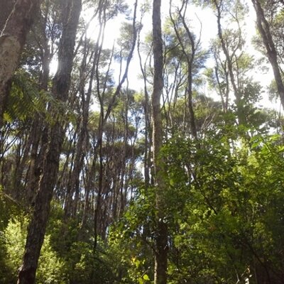 Profile Picture of Toby Kite (@KiteToby) on Twitter