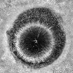 Mark Lattanzi - Instagram Profile Picture of Mark Lattanzi (@lattanzi.mark) on Instagram