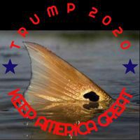 Profile Picture of Barry Pellegrin (@barry-pellegrin) on Quora